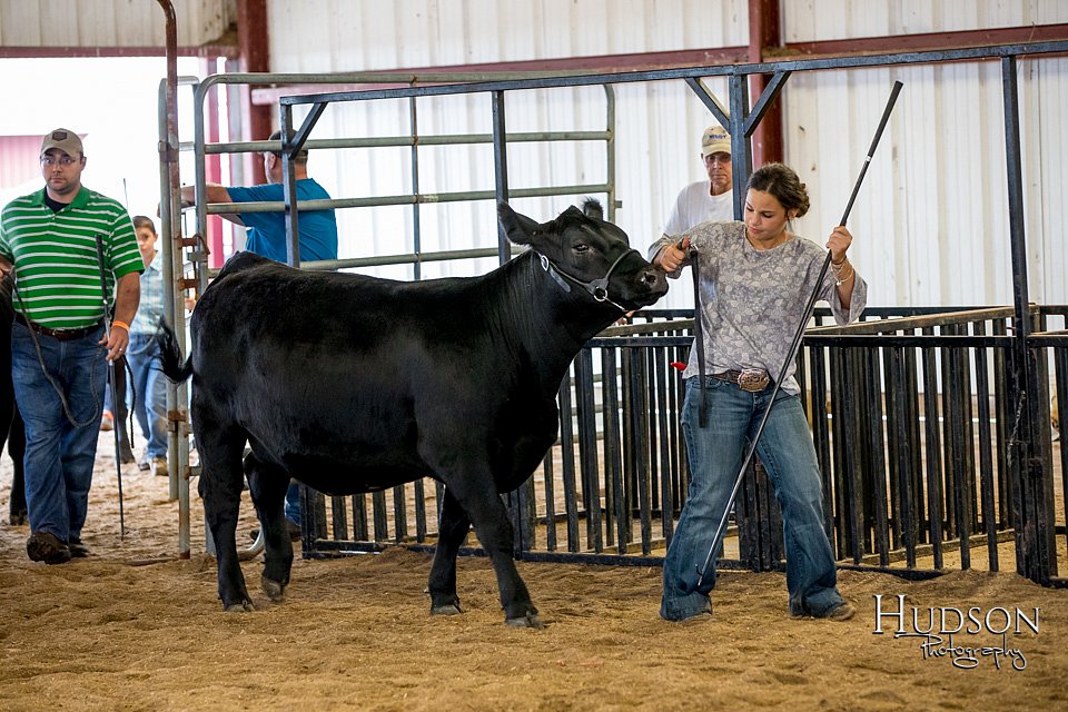 LCFAIR-081318-1417.jpg