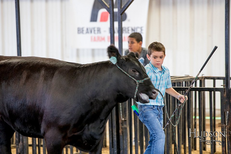 LCFAIR-081318-1423.jpg