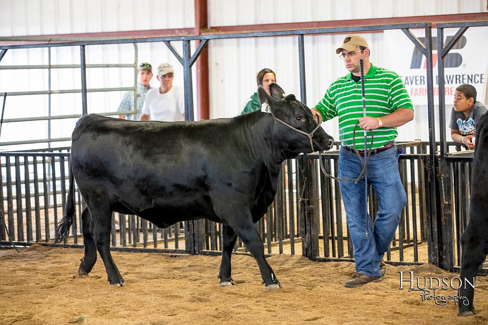 LCFAIR-081318-1427.jpg