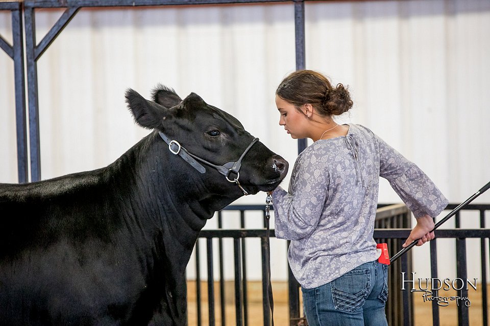 LCFAIR-081318-1429.jpg