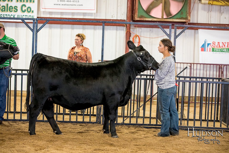 LCFAIR-081318-1441.jpg