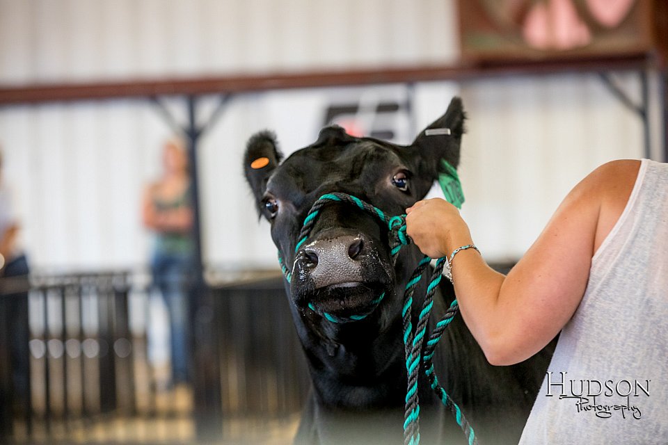 LCFAIR-081318-1454.jpg