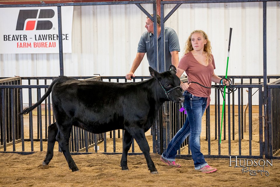 LCFAIR-081318-1457.jpg
