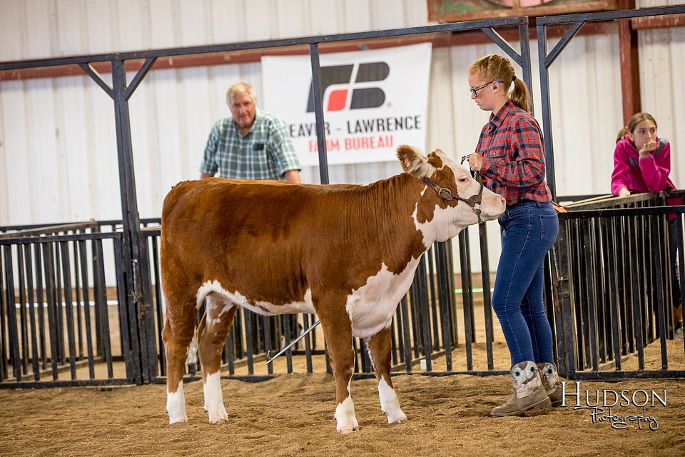 LCFAIR-081318-1538.jpg