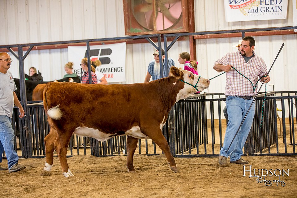 LCFAIR-081318-1542.jpg