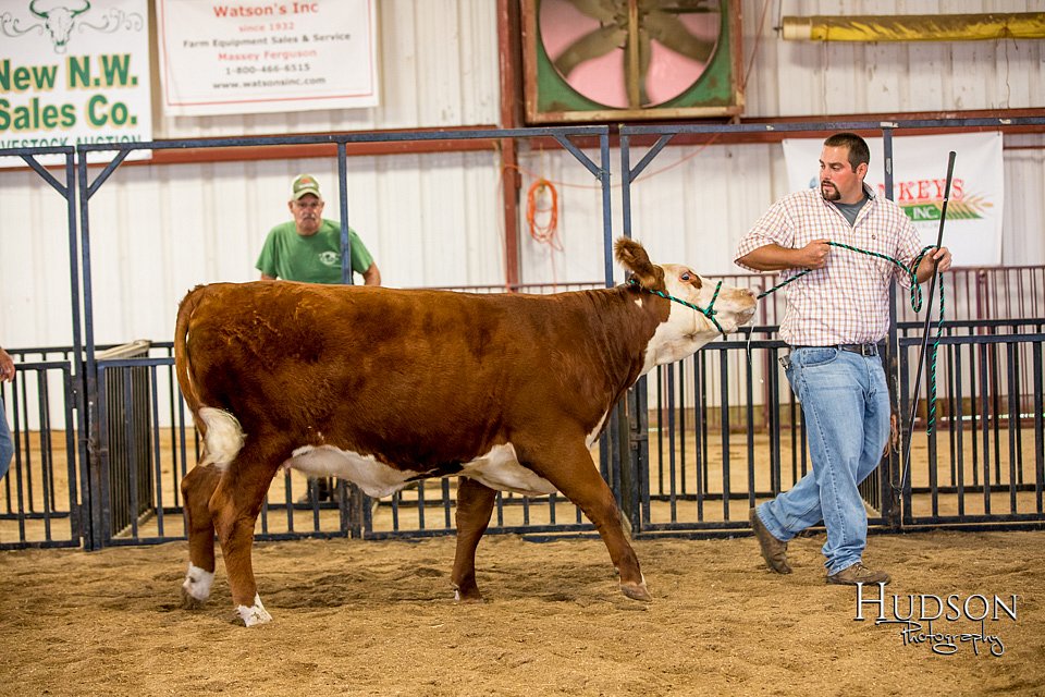 LCFAIR-081318-1543.jpg