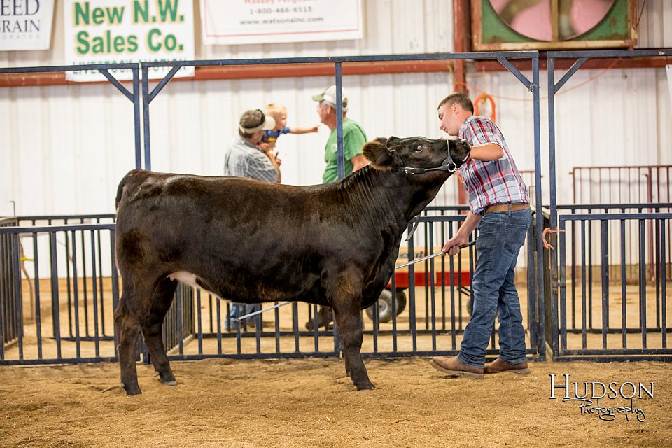 LCFAIR-081318-1580.jpg