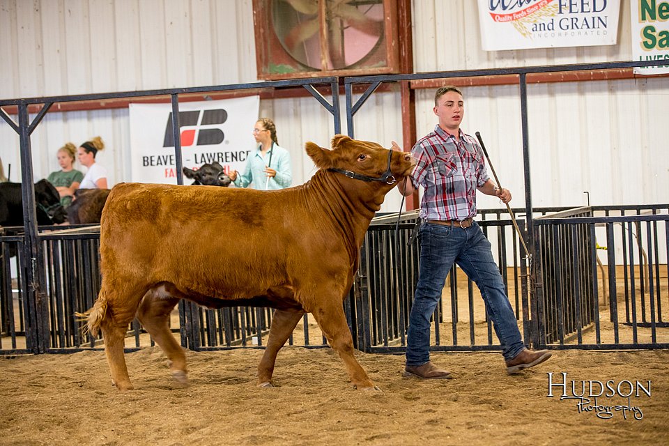 LCFAIR-081318-1581.jpg
