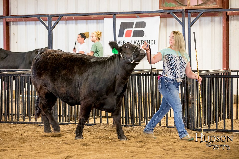 LCFAIR-081318-1633.jpg