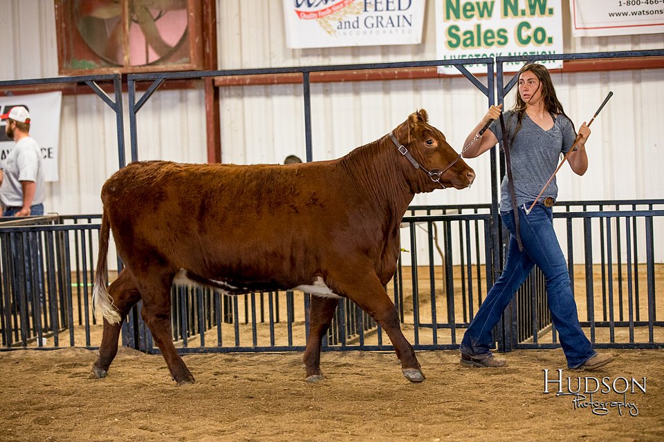 LCFAIR-081318-1856.jpg
