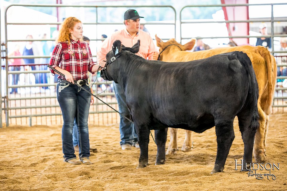 LCFAIR-081318-1921.jpg