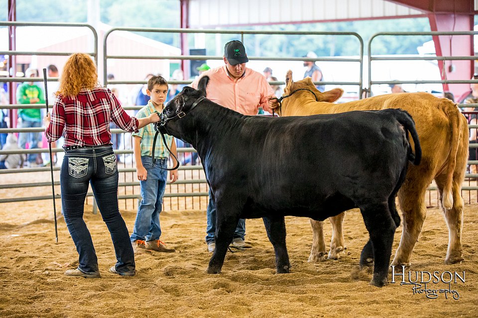LCFAIR-081318-1926.jpg