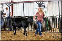 LCFAIR-081318-1406.jpg
