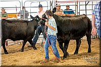 LCFAIR-081318-1438.jpg