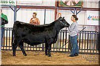 LCFAIR-081318-1439.jpg