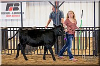 LCFAIR-081318-1457.jpg
