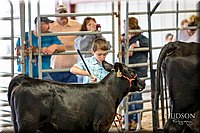 LCFAIR-081318-1481.jpg
