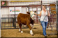 LCFAIR-081318-1555.jpg