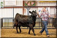 LCFAIR-081318-1602.jpg