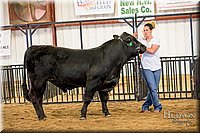 LCFAIR-081318-1727.jpg