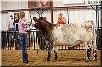 LCFAIR-081318-1804.jpg