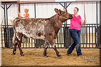 LCFAIR-081318-1824.jpg