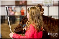 LCFAIR-081318-1828.jpg