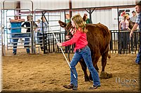 LCFAIR-081318-1830.jpg