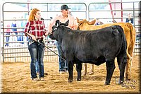 LCFAIR-081318-1921.jpg