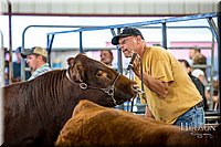 LCFAIR-081318-1970.jpg