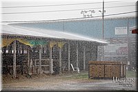 LCFAIR-081318-1154.jpg
