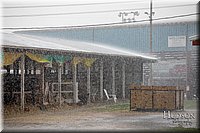 LCFAIR-081318-1155.jpg