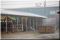 LCFAIR-081318-1156.jpg