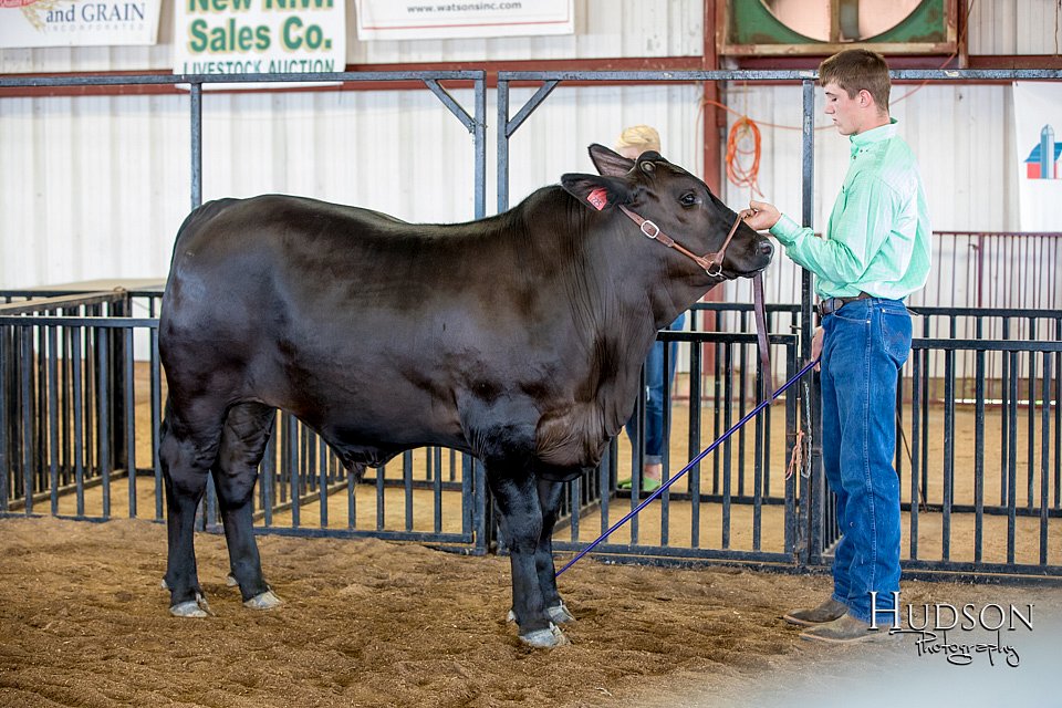 LCFAIR-081418-2084.jpg