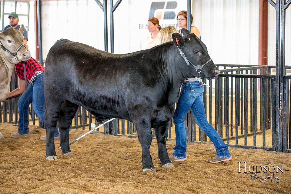 LCFAIR-081418-2086.jpg