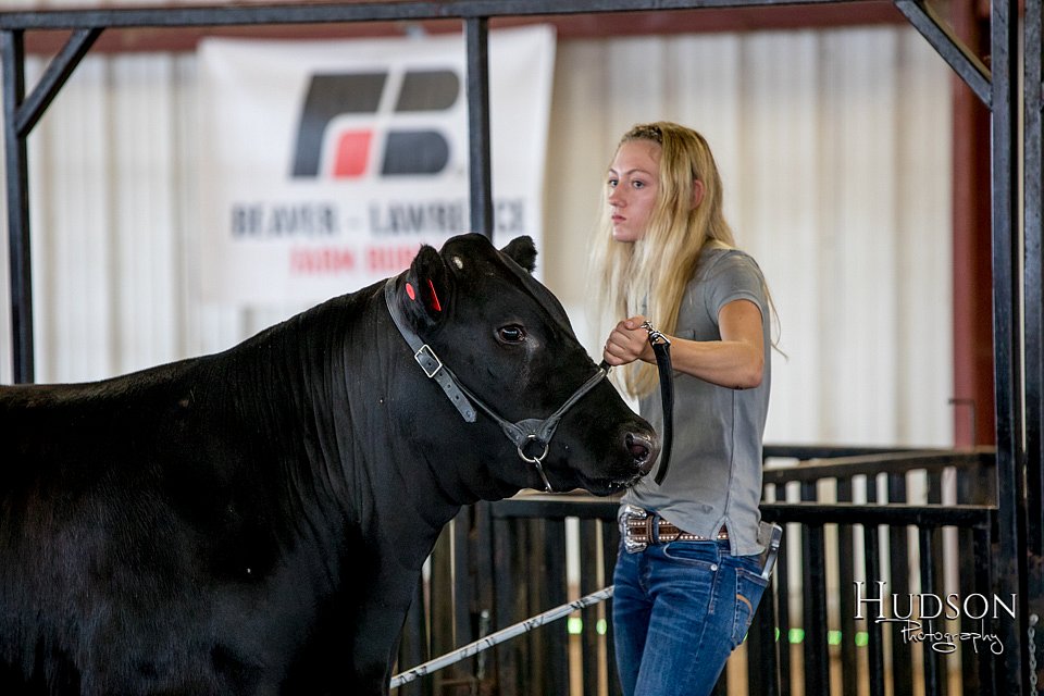 LCFAIR-081418-2096.jpg