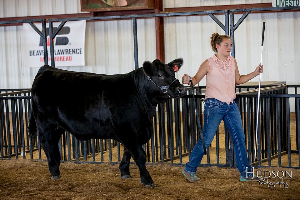 LCFAIR-081418-2110.jpg
