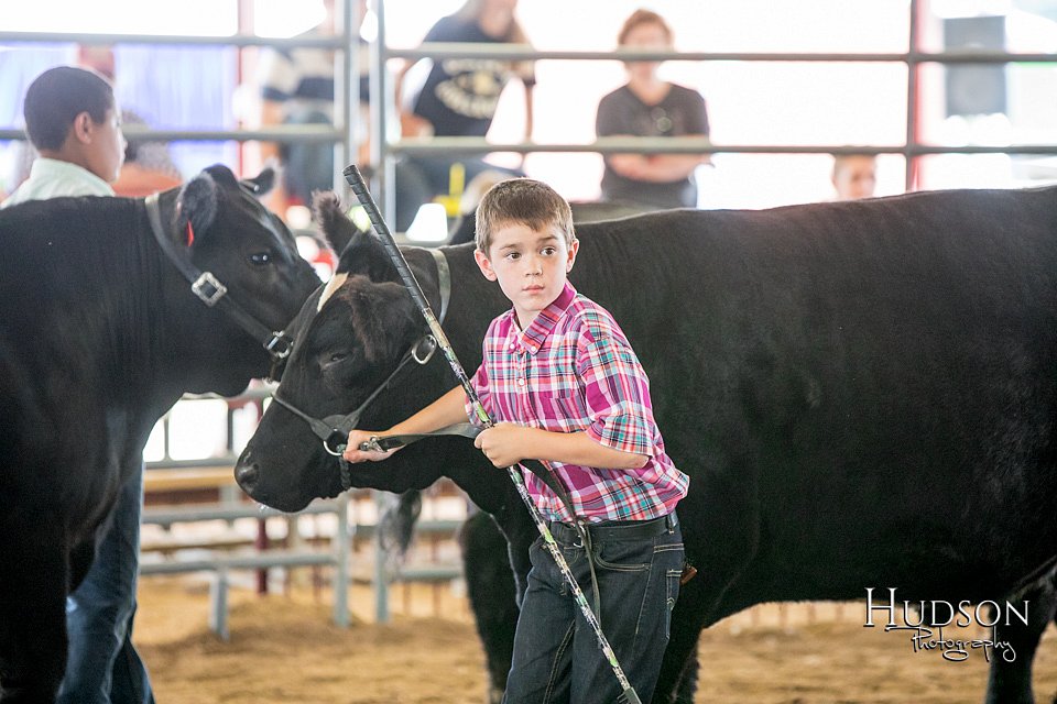 LCFAIR-081418-2215.jpg