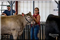 LCFAIR-081418-2104.jpg