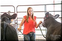 LCFAIR-081418-2128.jpg