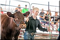 LCFAIR-081418-2142.jpg