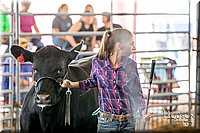 LCFAIR-081418-2146.jpg
