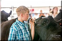 LCFAIR-081418-2174.jpg