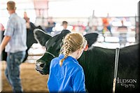 LCFAIR-081418-2222.jpg