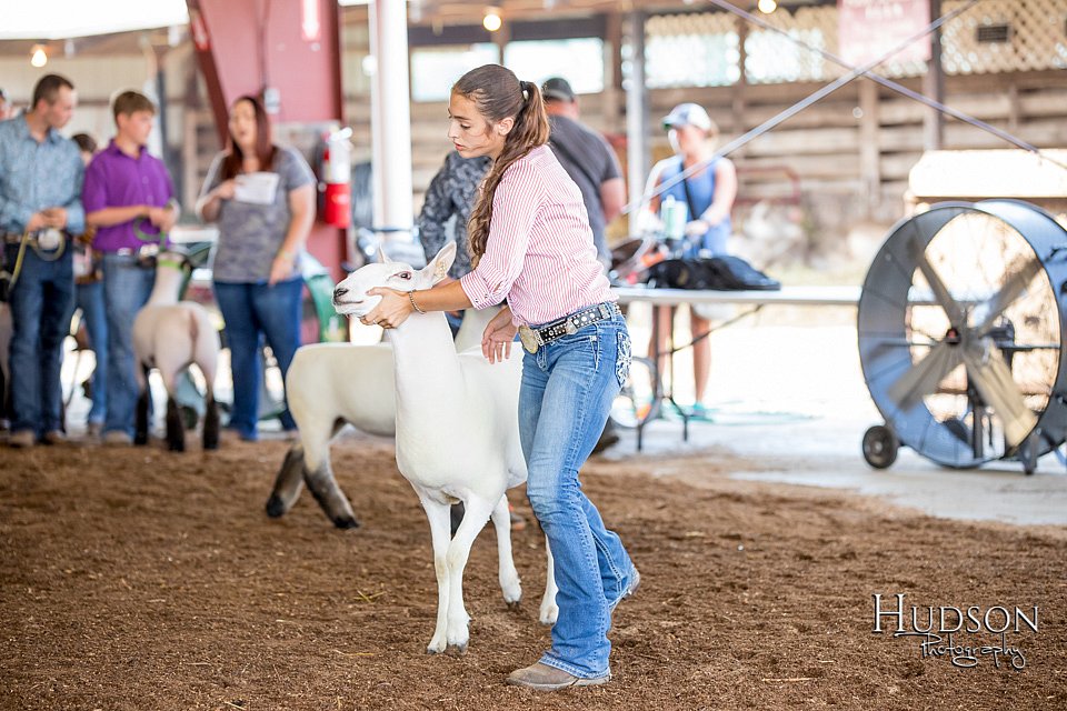 LCFAIR-081418-2299.jpg