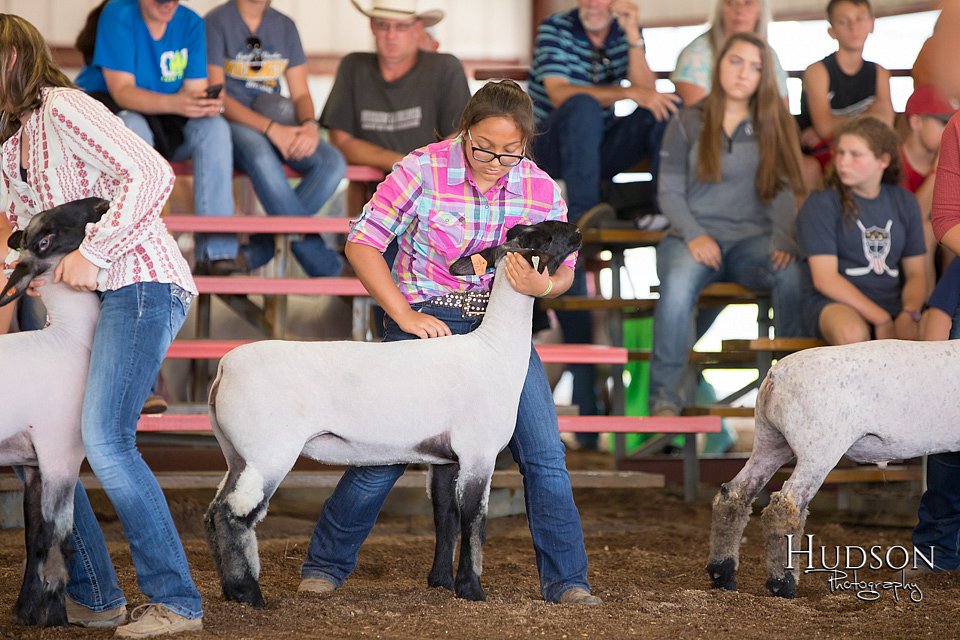 LCFAIR-081418-2304.jpg