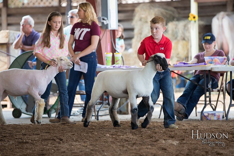 LCFAIR-081418-2336.jpg