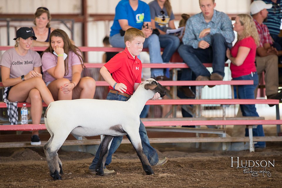 LCFAIR-081418-2362.jpg