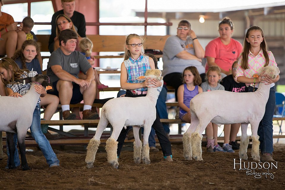 LCFAIR-081418-2378.jpg
