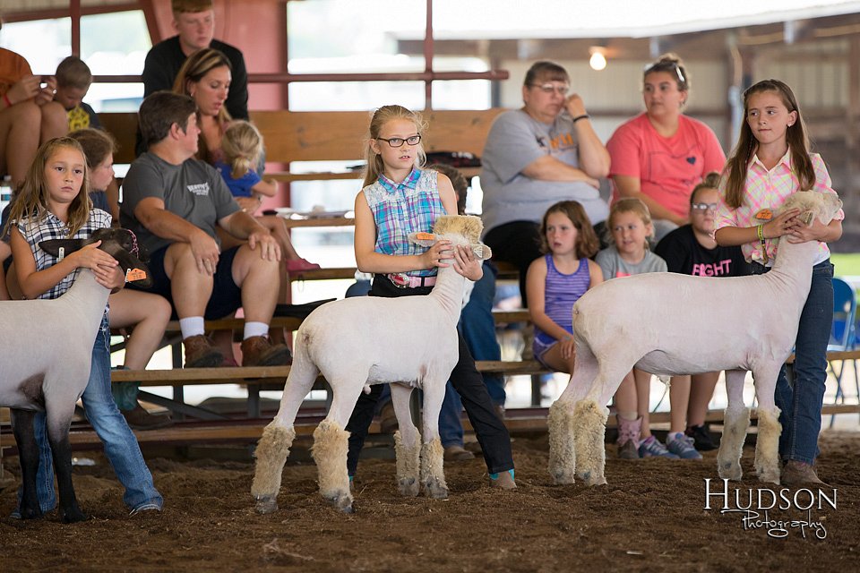 LCFAIR-081418-2380.jpg